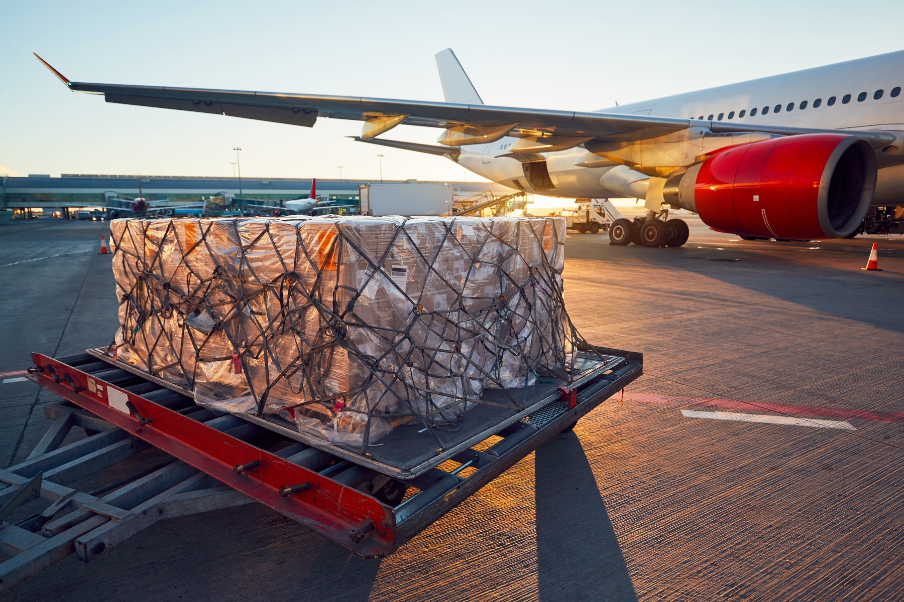 Victoria Cargo Spain